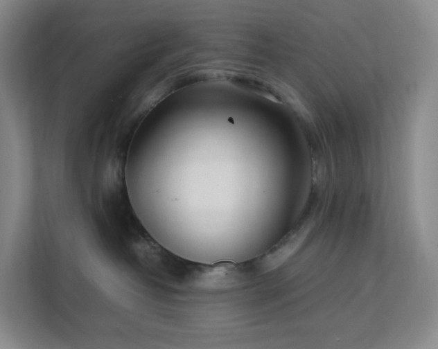 X0000111530382200907211249