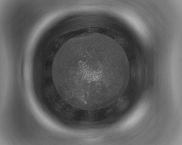 X0000111530383200907211249