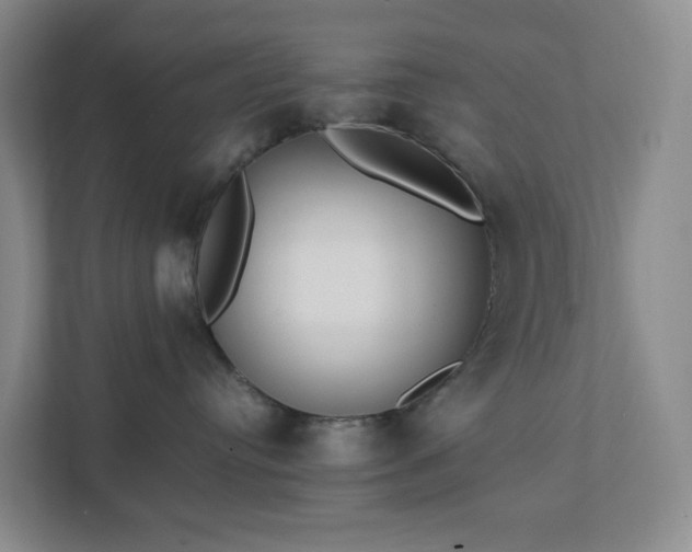 X0000111530384200907211249