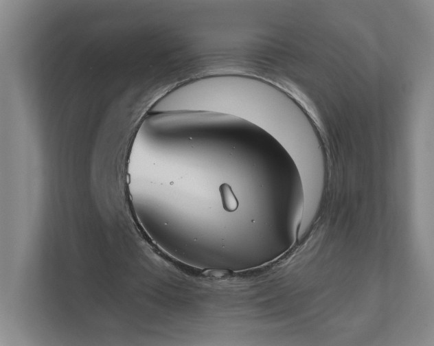 X0000111530385200907211249