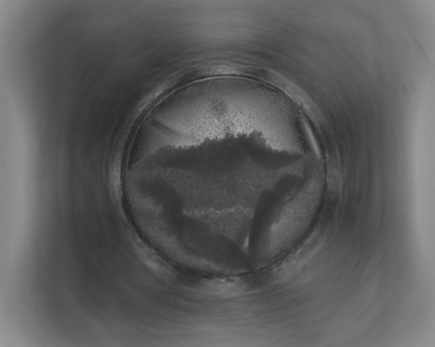 X0000111530386200907211249