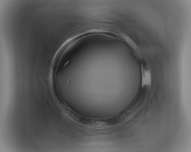 X0000111530387200907211249