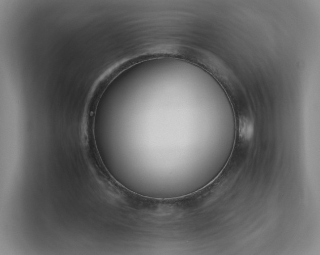 X0000111530388200907211249