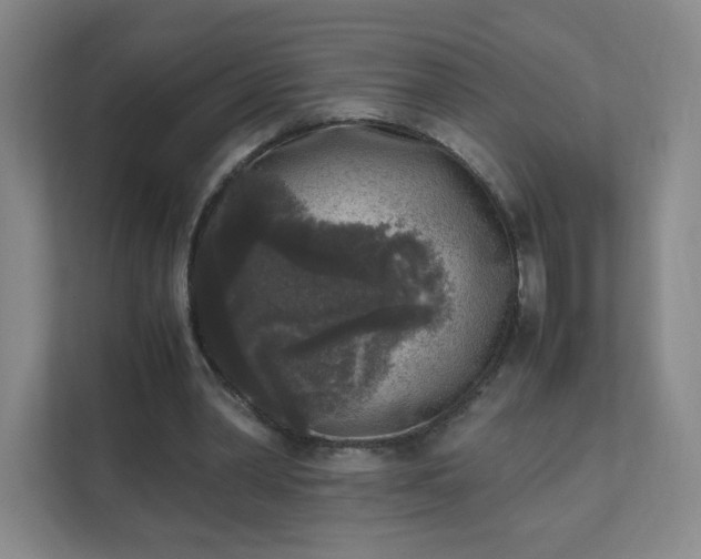 X0000111530390200907211249