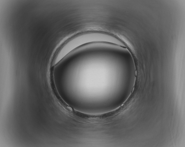 X0000111530391200907211249