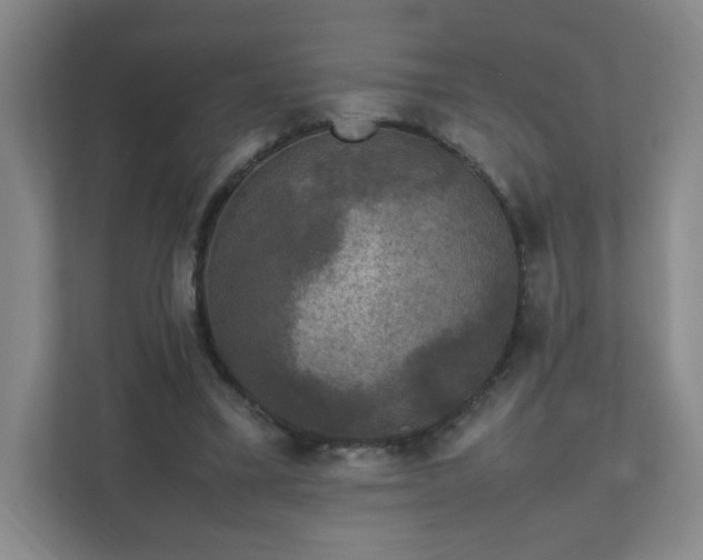 X0000111530395200907211249