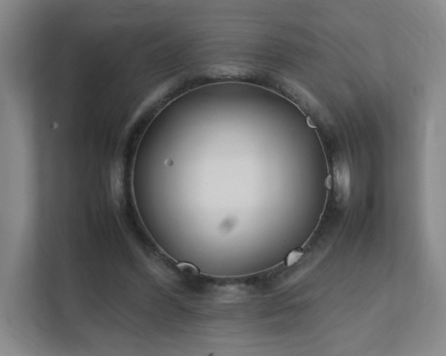 X0000111530396200907211249