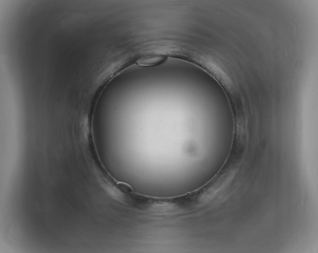 X0000111530397200907211249