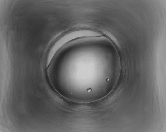 X0000111530399200907211249