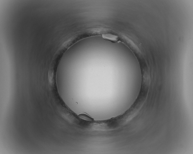 X0000111530403200907211248