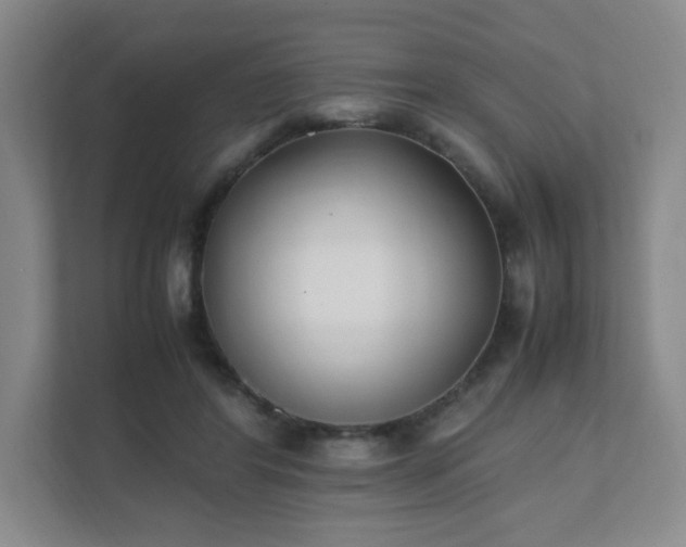 X0000111530404200907211248