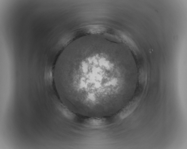 X0000111530405200907211248