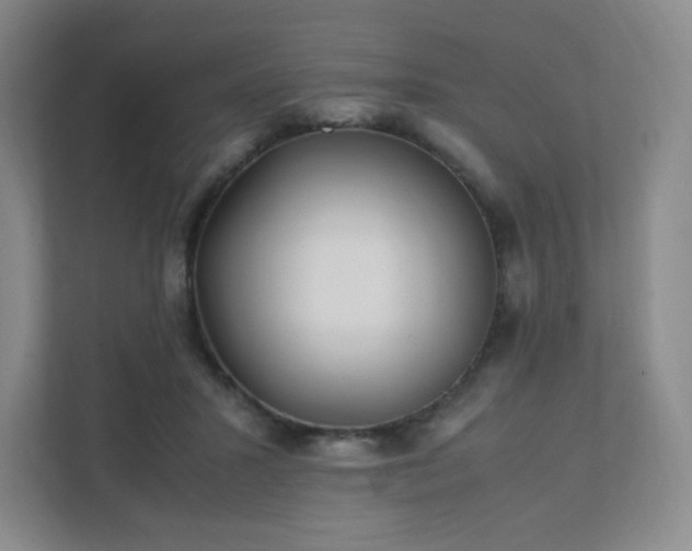 X0000111530407200907211248