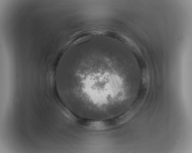 X0000111530409200907211248