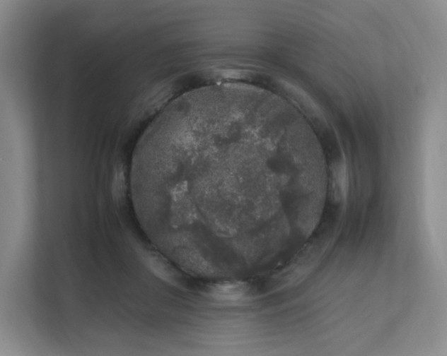 X0000111530410200907211248