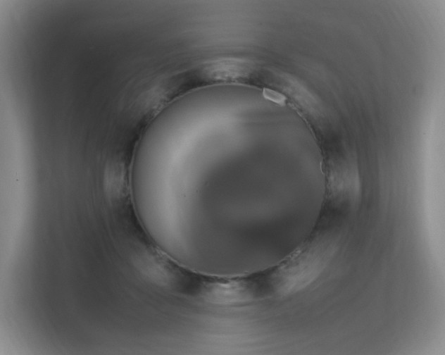 X0000111530411200907211248