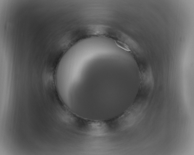 X0000111530415200907211248