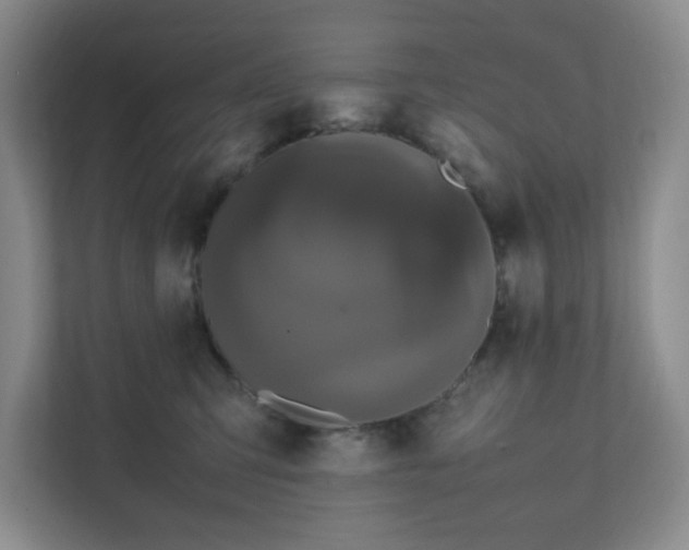 X0000111530423200907211248