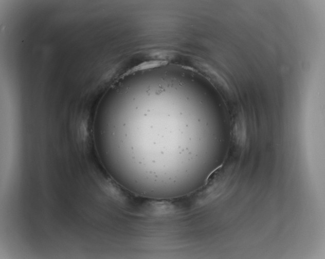 X0000111530424200907211248