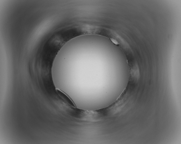 X0000111530429200907211248