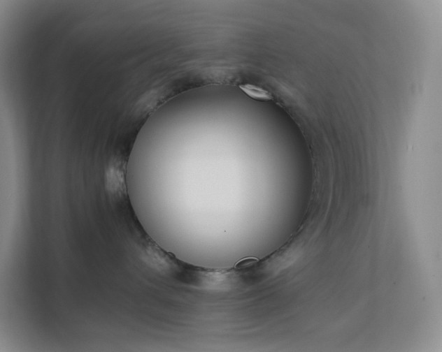 X0000111530432200907211248