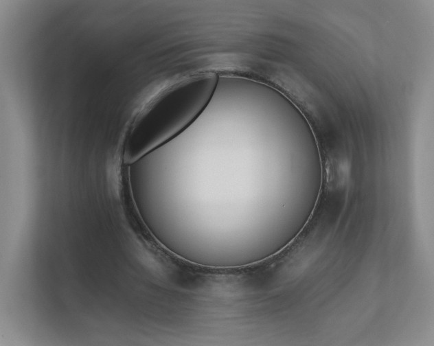 X0000111530436200907211248