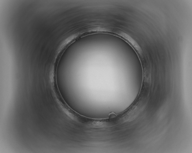 X0000111530437200907211248