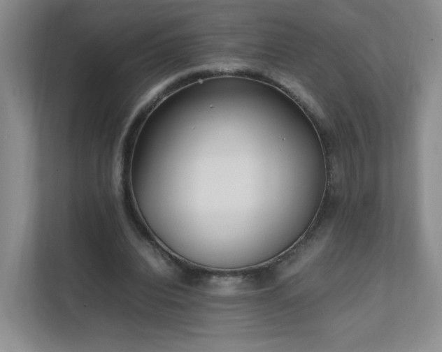 X0000111530440200907211248