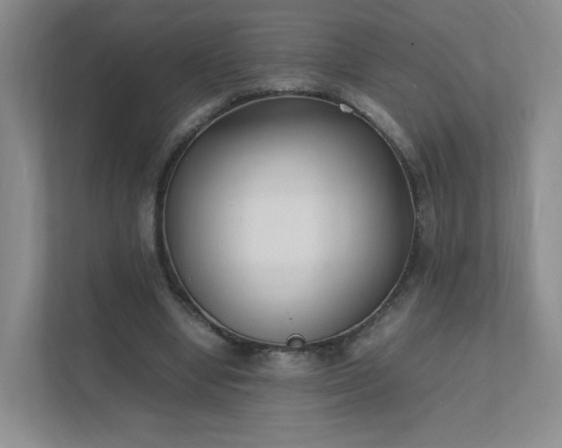 X0000111530442200907211248