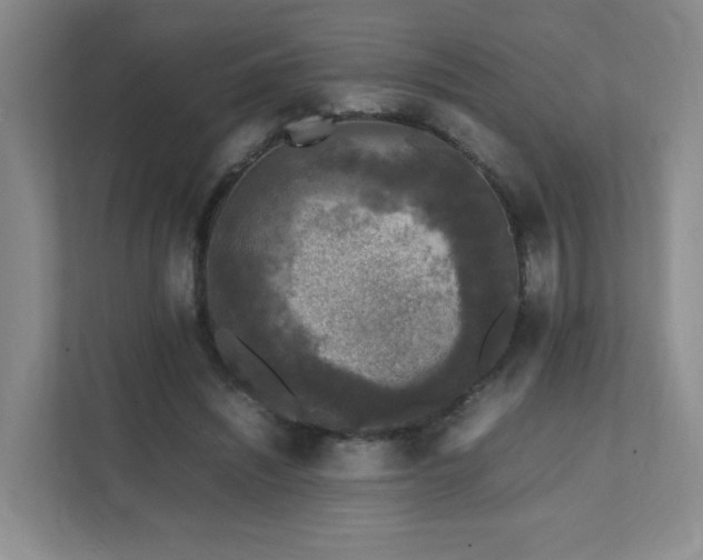 X0000111530444200907211248