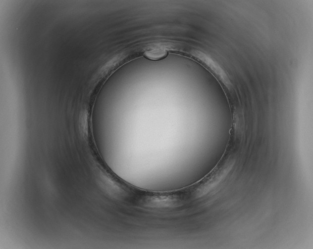 X0000111530445200907211248