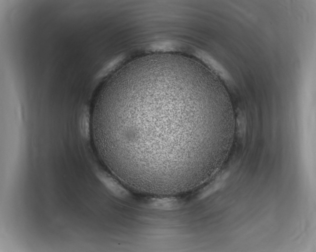 X0000111530446200907211248