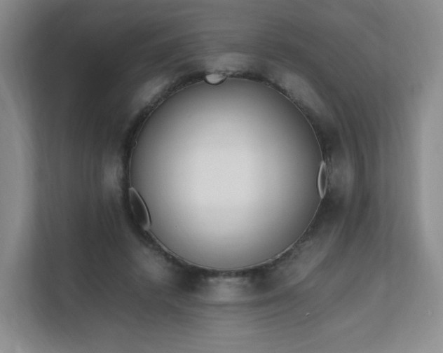 X0000111530448200907211248