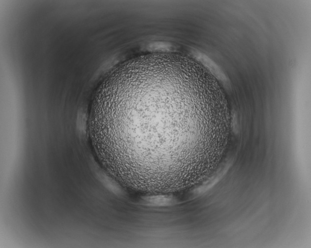 X0000111530449200907211248