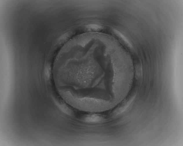 X0000111530451200907211248