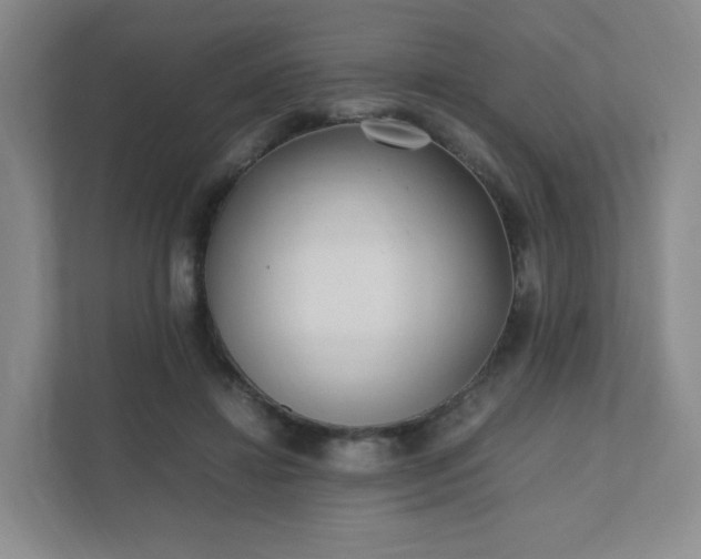 X0000111530452200907211248