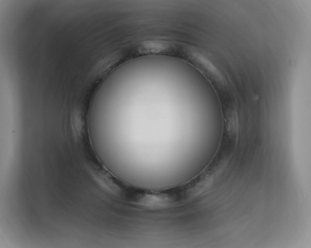 X0000111530455200907211248