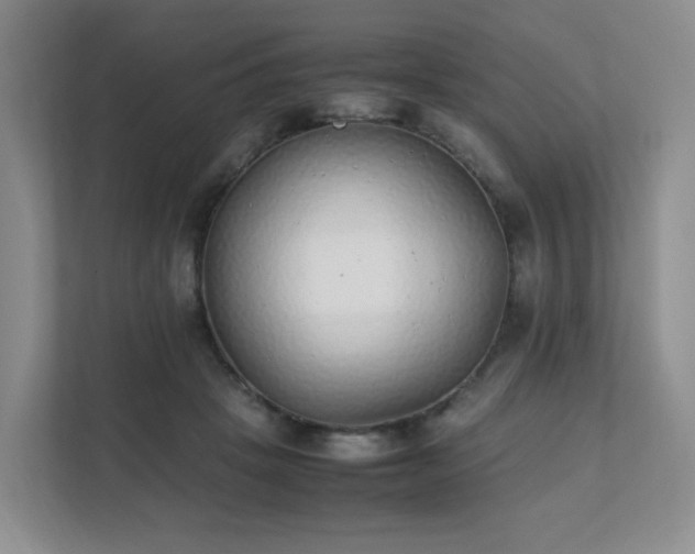 X0000111530457200907211248