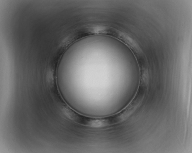 X0000111530461200907211248