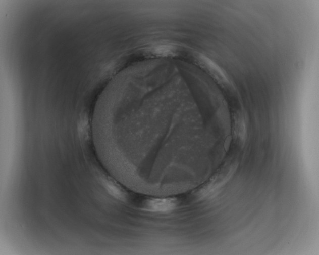 X0000111530465200907211248