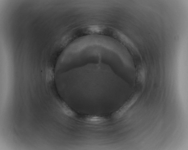 X0000111530467200907211248