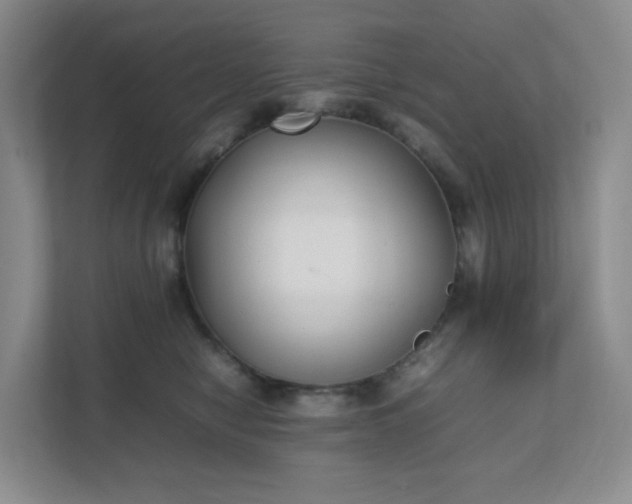 X0000111530470200907211248