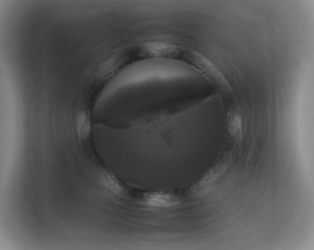 X0000111530471200907211248