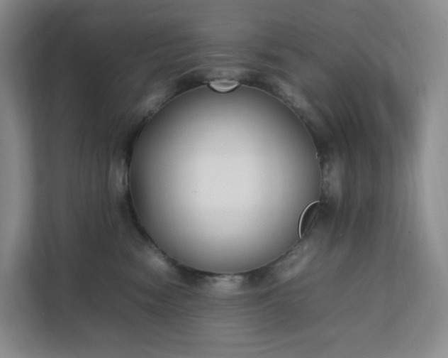 X0000111530474200907211248