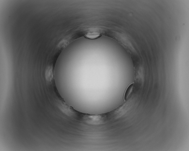 X0000111530478200907211248