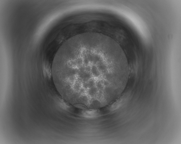 X0000111530479200907211248