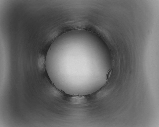 X0000111530480200907211248