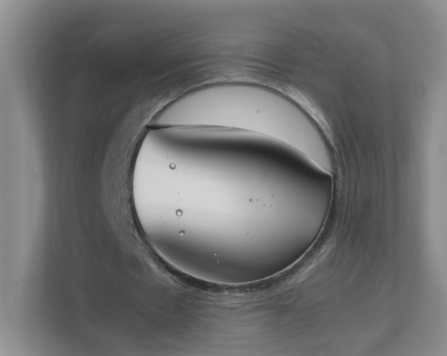 X0000111530481200907211247