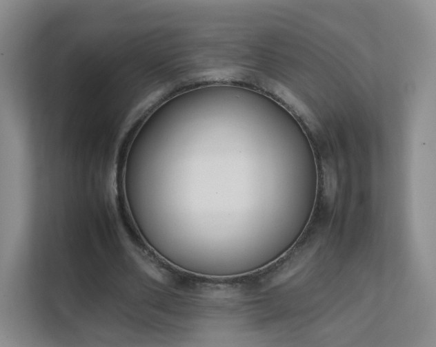 X0000111530486200907211247