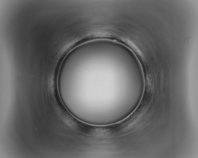 X0000111530487200907211247